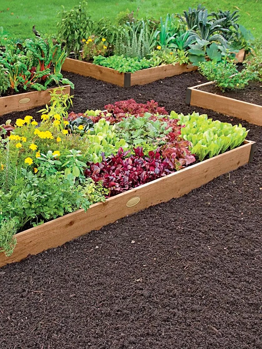 4' Raised Beds - Image 2