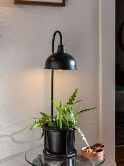 Kira Grow Light Tabletop Planter