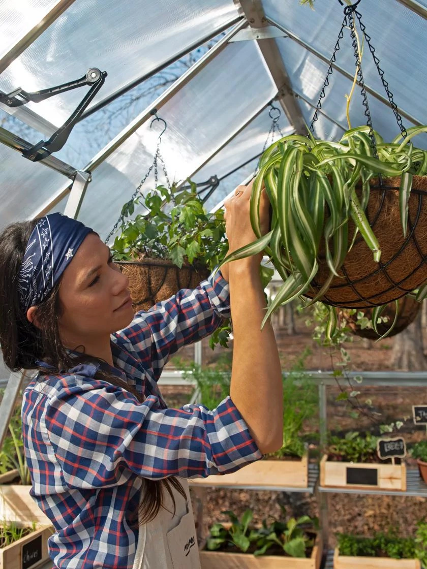 Canopia® By Palram Balance Greenhouse, 8' X 12' - Image 15