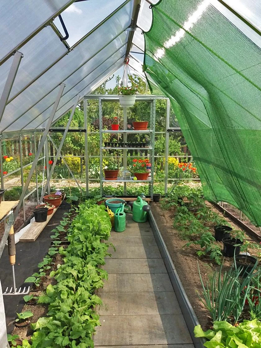 Canopia® By Palram Balance Greenhouse, 8' X 12' - Image 11