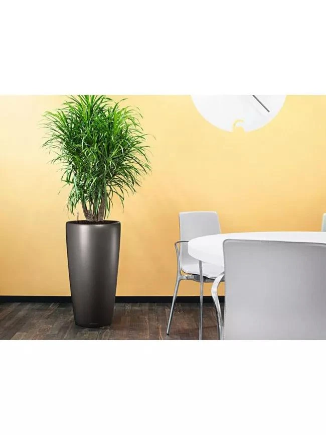 Lechuza® Rondo Self-Watering Planters - Image 3