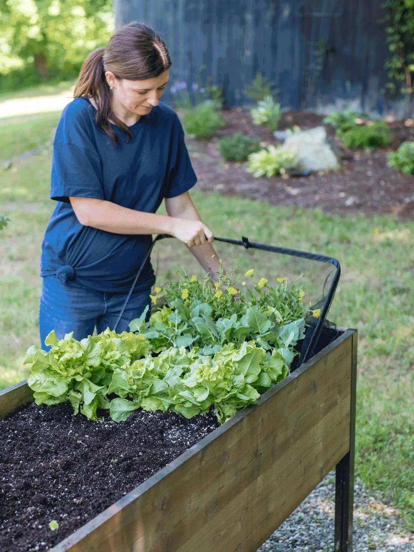 Pop-Up Bird Netting - Image 2