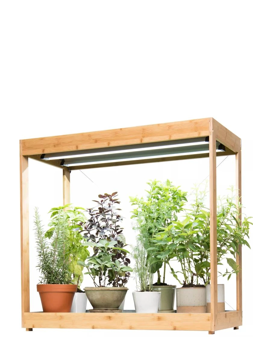 Medium Bamboo LED Grow Light Garden - Image 10