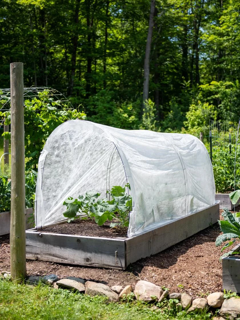 All-Purpose Garden Fabric - Image 3