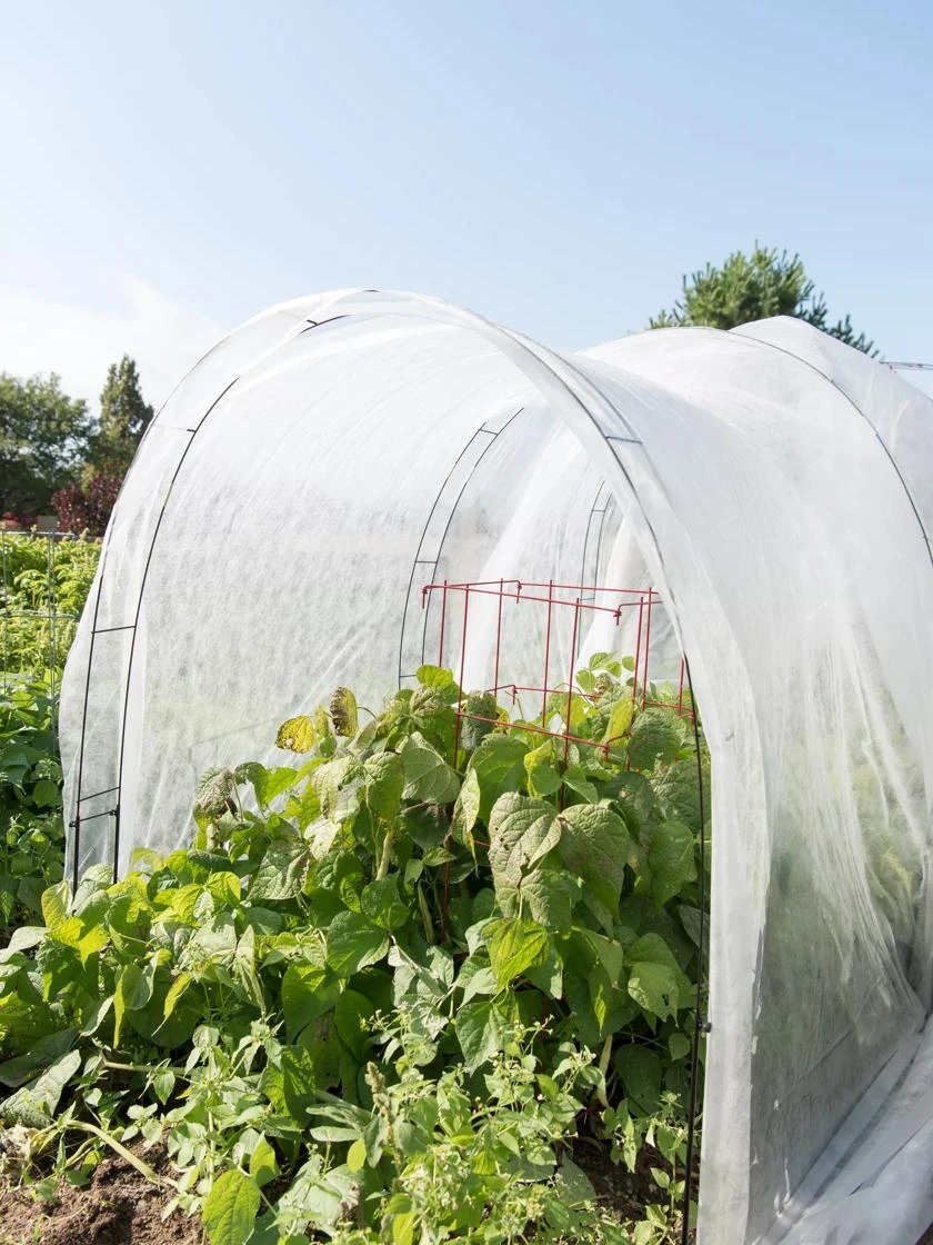 Super Hoop Bases, Set Of 6 - Image 4