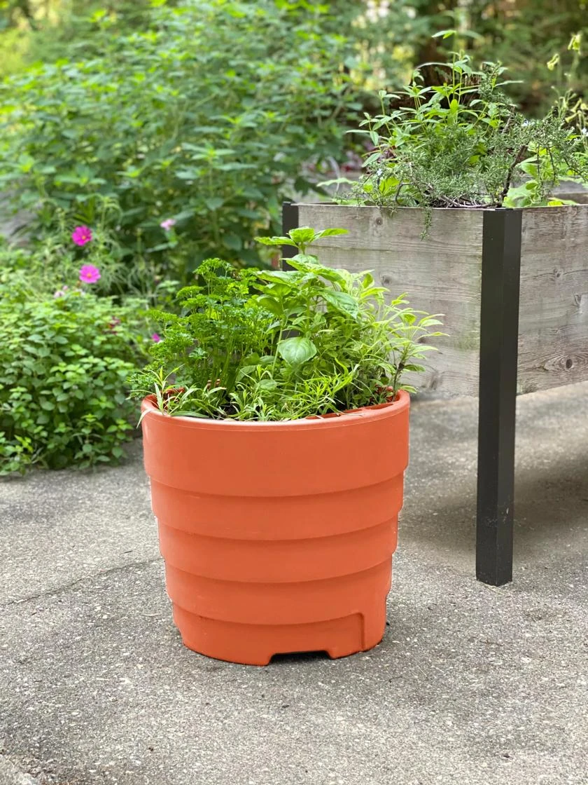 Gardener’s Victory Self-Watering Patio Planter - Image 2