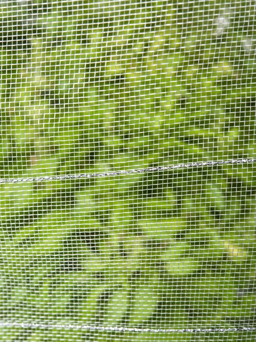 Insect Protection Tunnel - Image 2