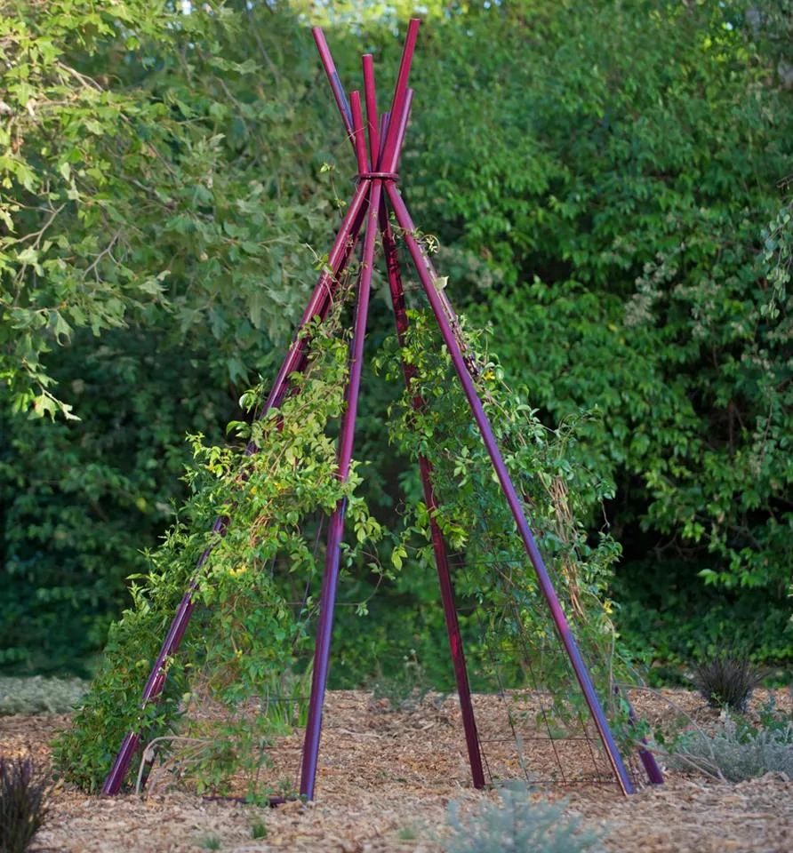 Annabel Tipi Trellis