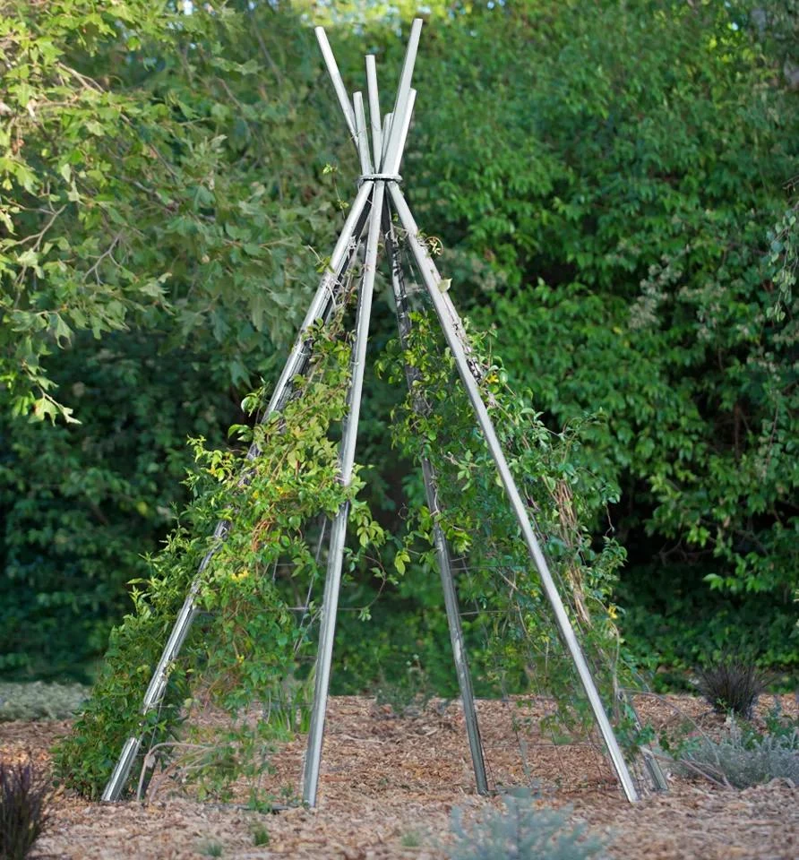Annabel Tipi Trellis - Image 2