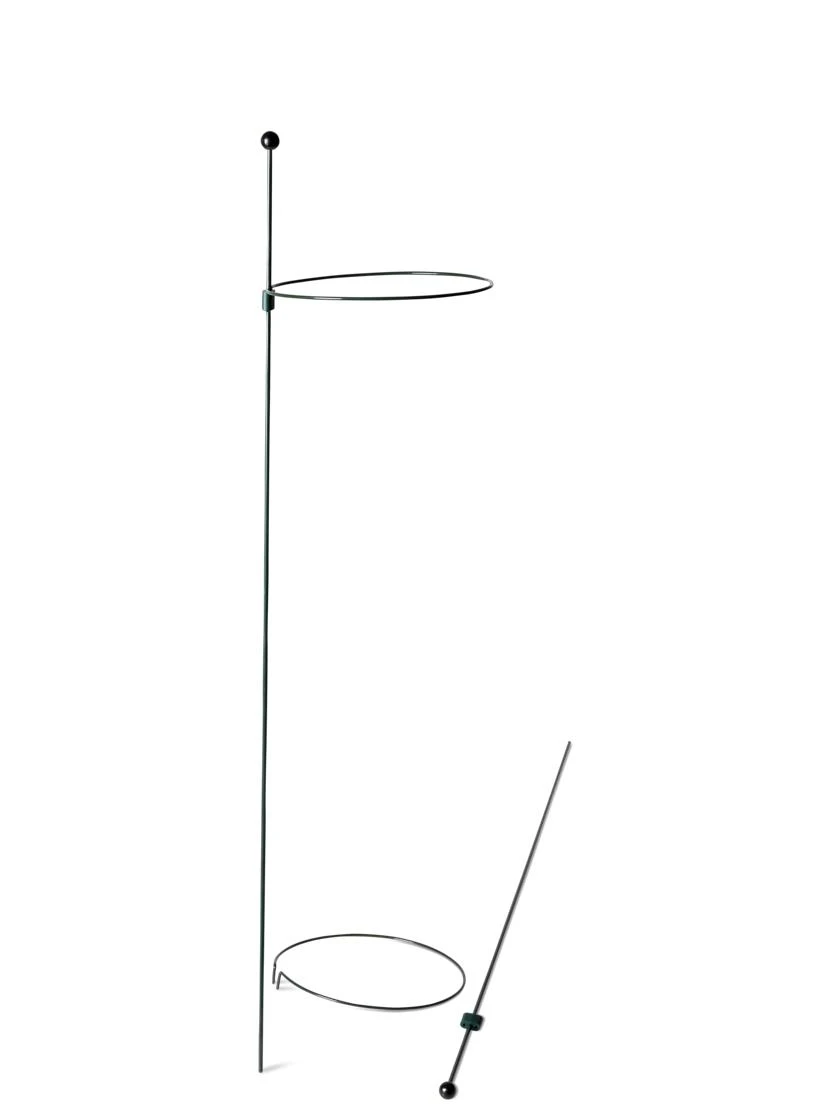 Peacock Mini Plant Support Rings 8", Set Of 2 - Image 7