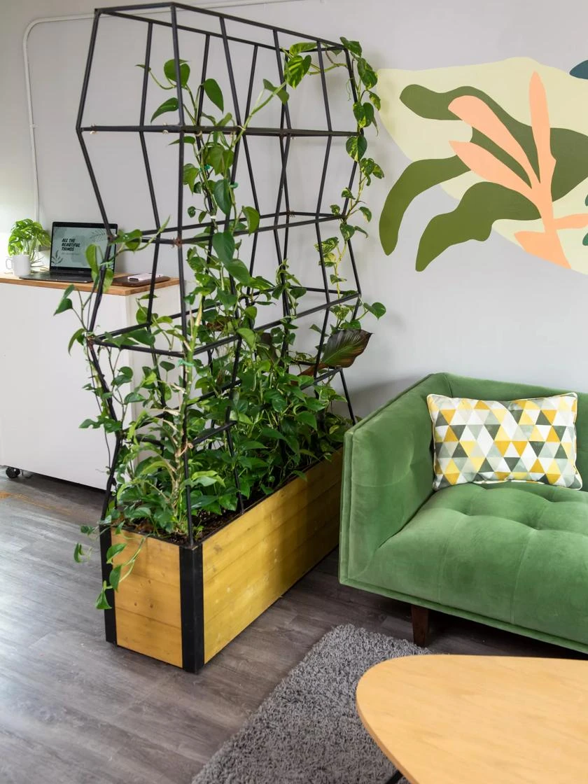 Self-Watering Partition Planter - Image 4