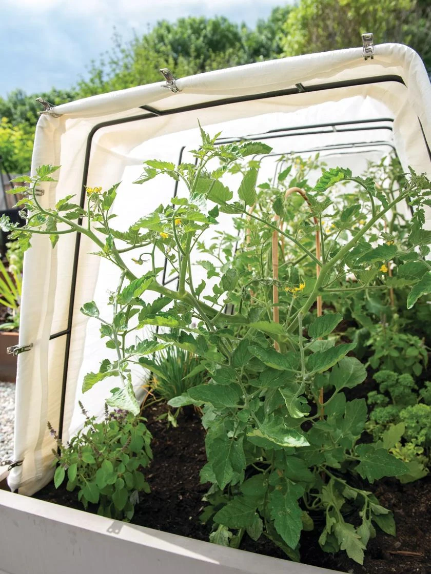 Cotton All Purpose Garden Cover - Image 2