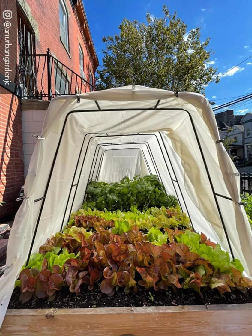 Cotton All Purpose Garden Cover - Image 5