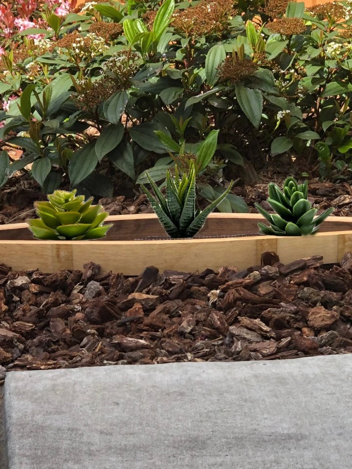 Wine Barrel Succulent Planter - Image 2