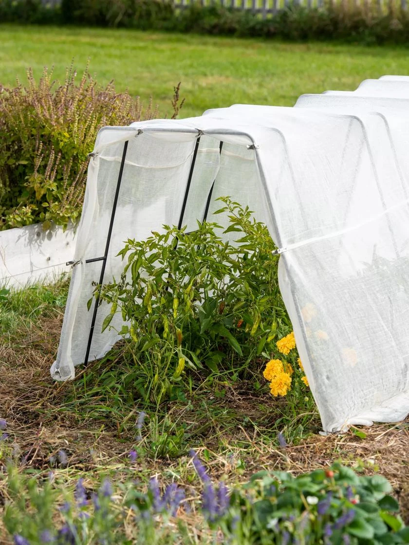 All-Purpose Garden Fabric - Image 5