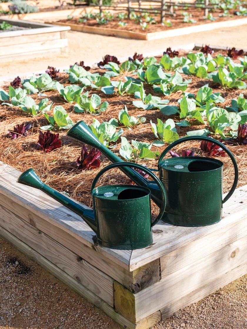 Long Reach Watering Can, Large - Image 4