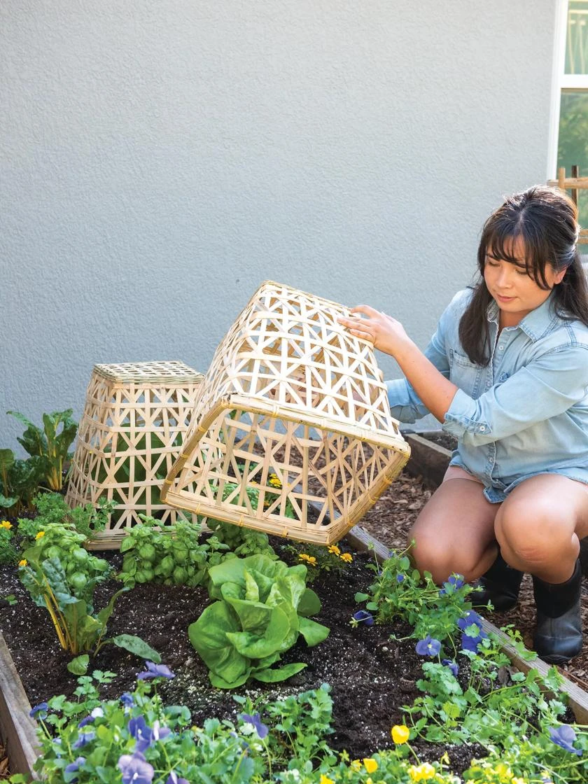 Bamboo Cloche, Set Of 2 - Image 4