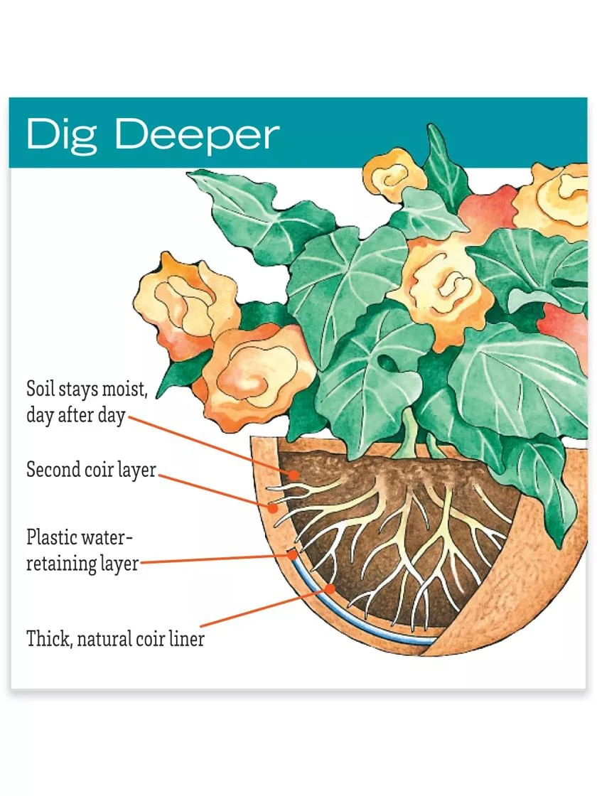 AquaSavâ„¢ Oxford Hanging Basket, 14" - Image 2